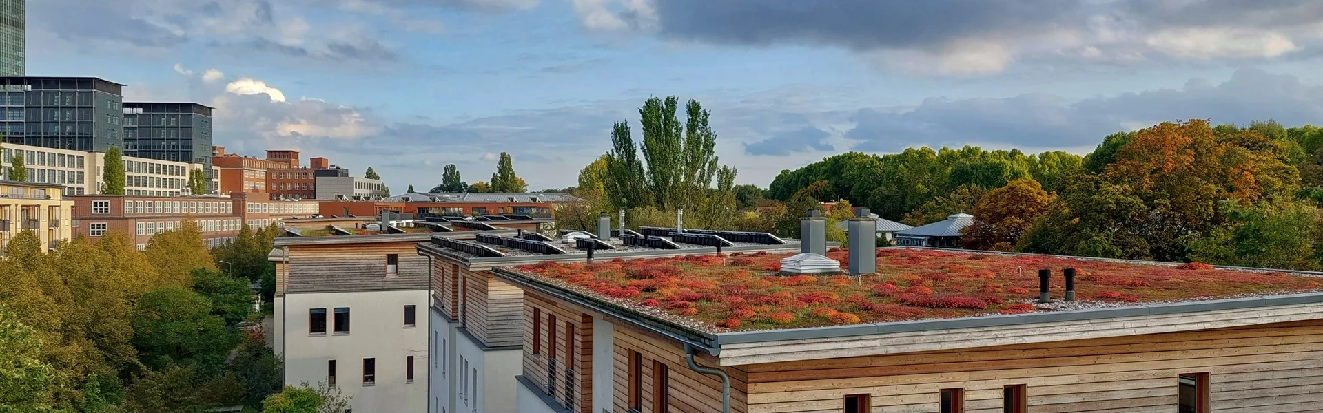 Dachbegrünung Berlin Dachbegrünung Berlin